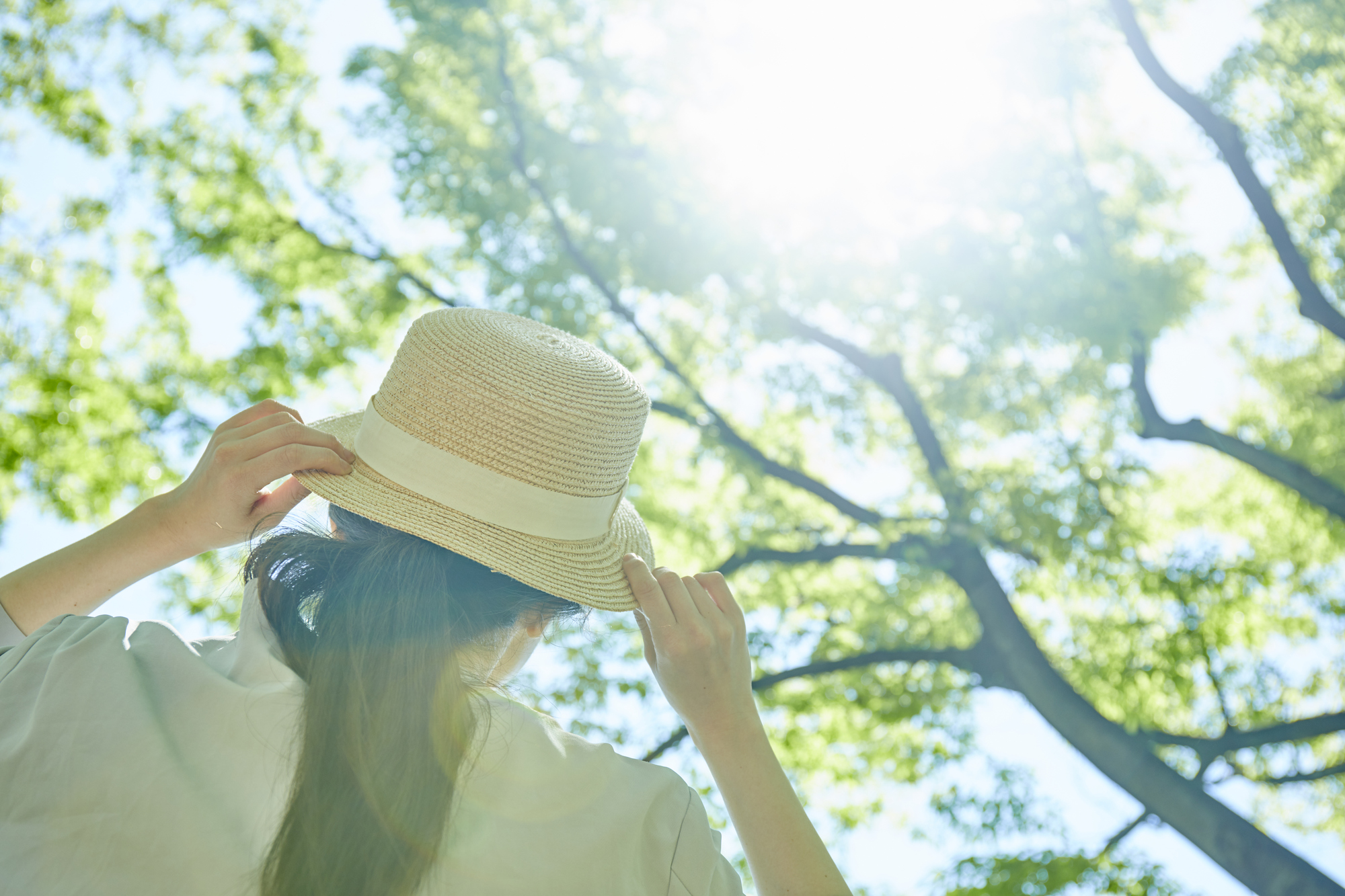 【2025年版】夏の髪悩み解決！<br>プロが教える初夏のヘアケア完全ガイド