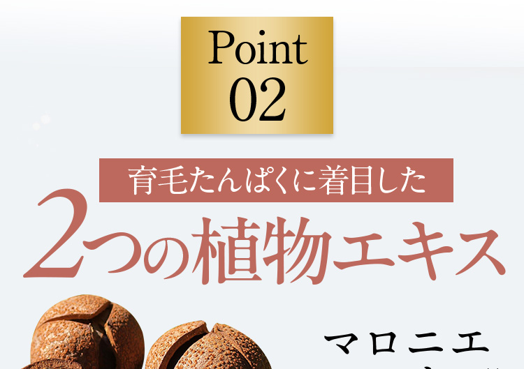 Point02 育毛たんぱくに着目した2つの植物エキス