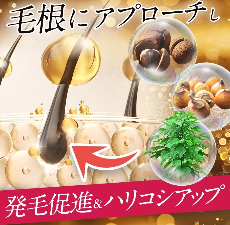 さらに薬用リリィジュRICHリッチだけ育毛たんぱくに着目した2つの植物エキスを新配合