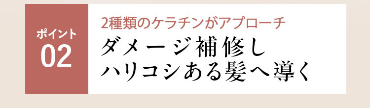 ポイント02 2種類のケラチンが内と外から髪を補修 毛髪補修でハリコシのある髪へ