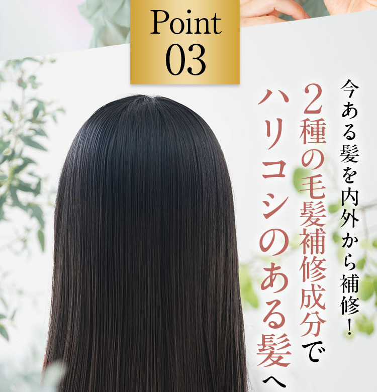 Point03 今ある髪を内外から補修!2種の毛髪補修成分でハリコシのある髪へ
