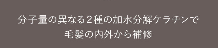 分子量の異なる２種の加水分解ケラチンで毛髪の内外から補修
