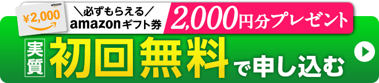 半額以下 初回限定 送料無料 1,980円(税込)でお得に今すぐはじめる