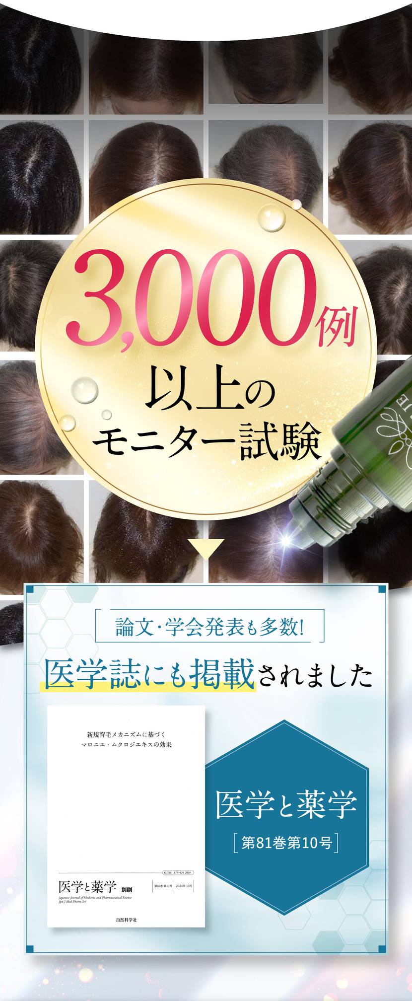 以上のモニター試験