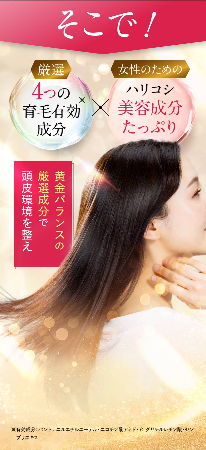 ハリコシのある美しい髪へ