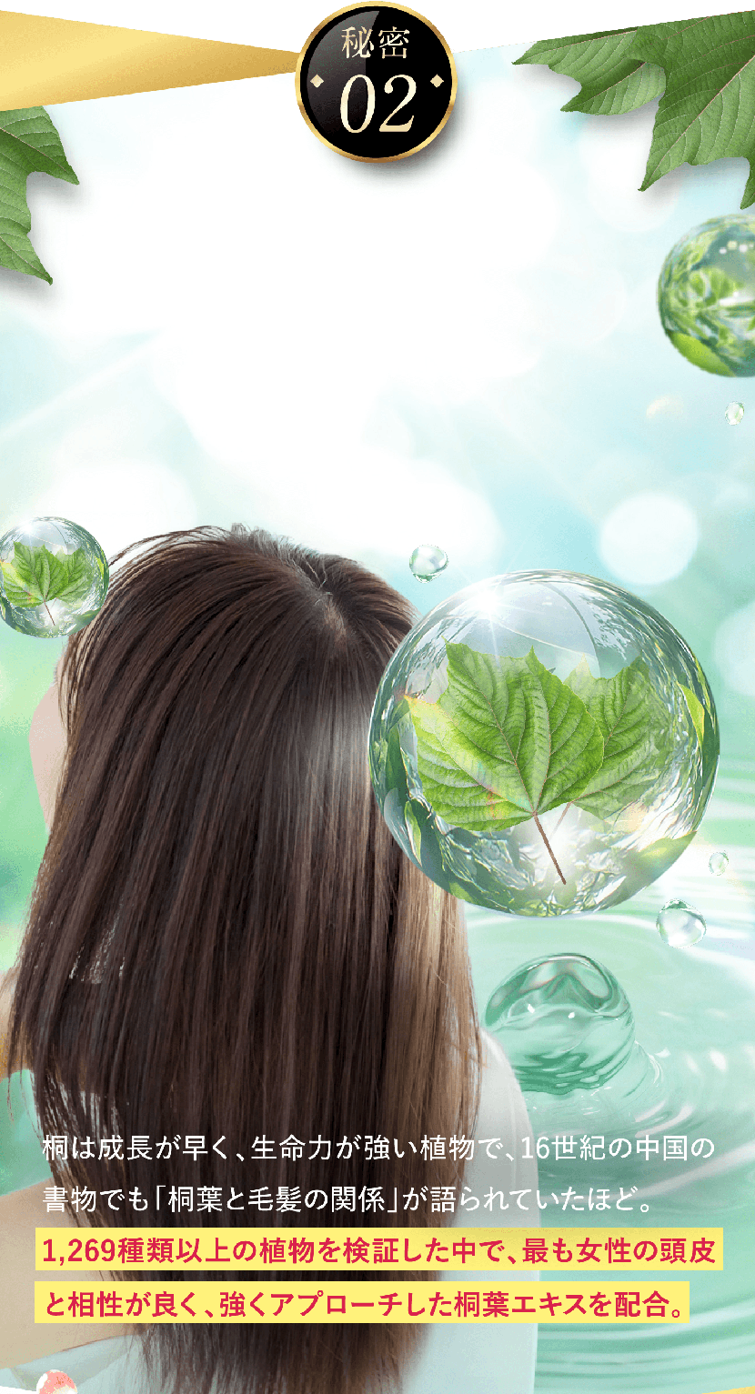 切っても切っても生えてくる桐葉エキス ※