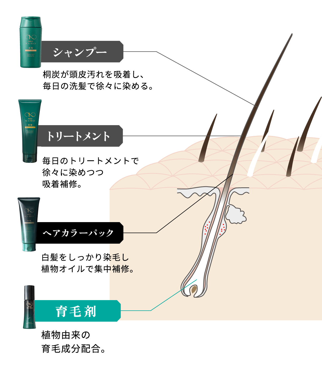 リリィジュ KURO』シリーズ |【薬用リリィジュ公式】 女性のための薬用 リリィジュ KURO』シリーズ |【薬用リリィジュ公式】 女性のための薬用