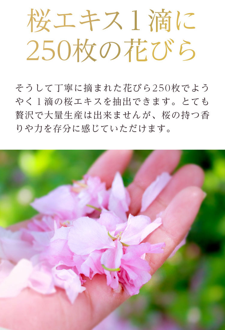 桜香る美姫肌-国産アロマスキンケア「桜咲耶姫」